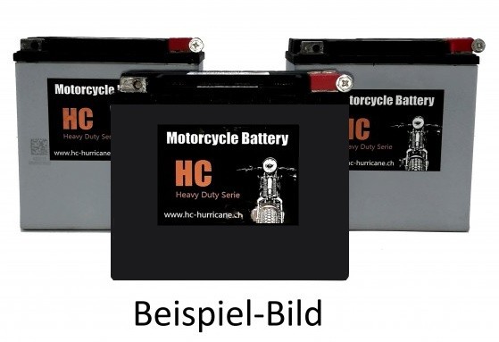 Original BMW Lithium-Ionen Starterbatterie 69AH kaufen